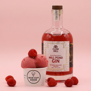 Raspberry Gin Sorbet
